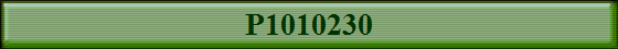 P1010230