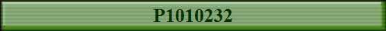 P1010232