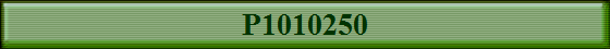 P1010250