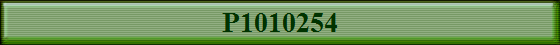 P1010254