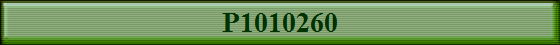 P1010260