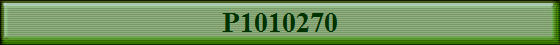 P1010270