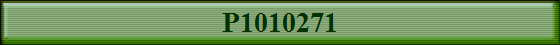 P1010271