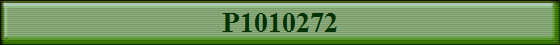 P1010272