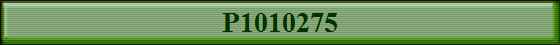P1010275