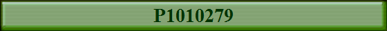 P1010279