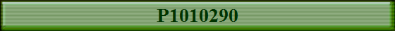 P1010290