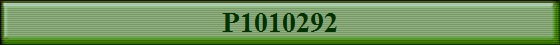 P1010292