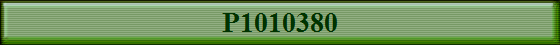 P1010380